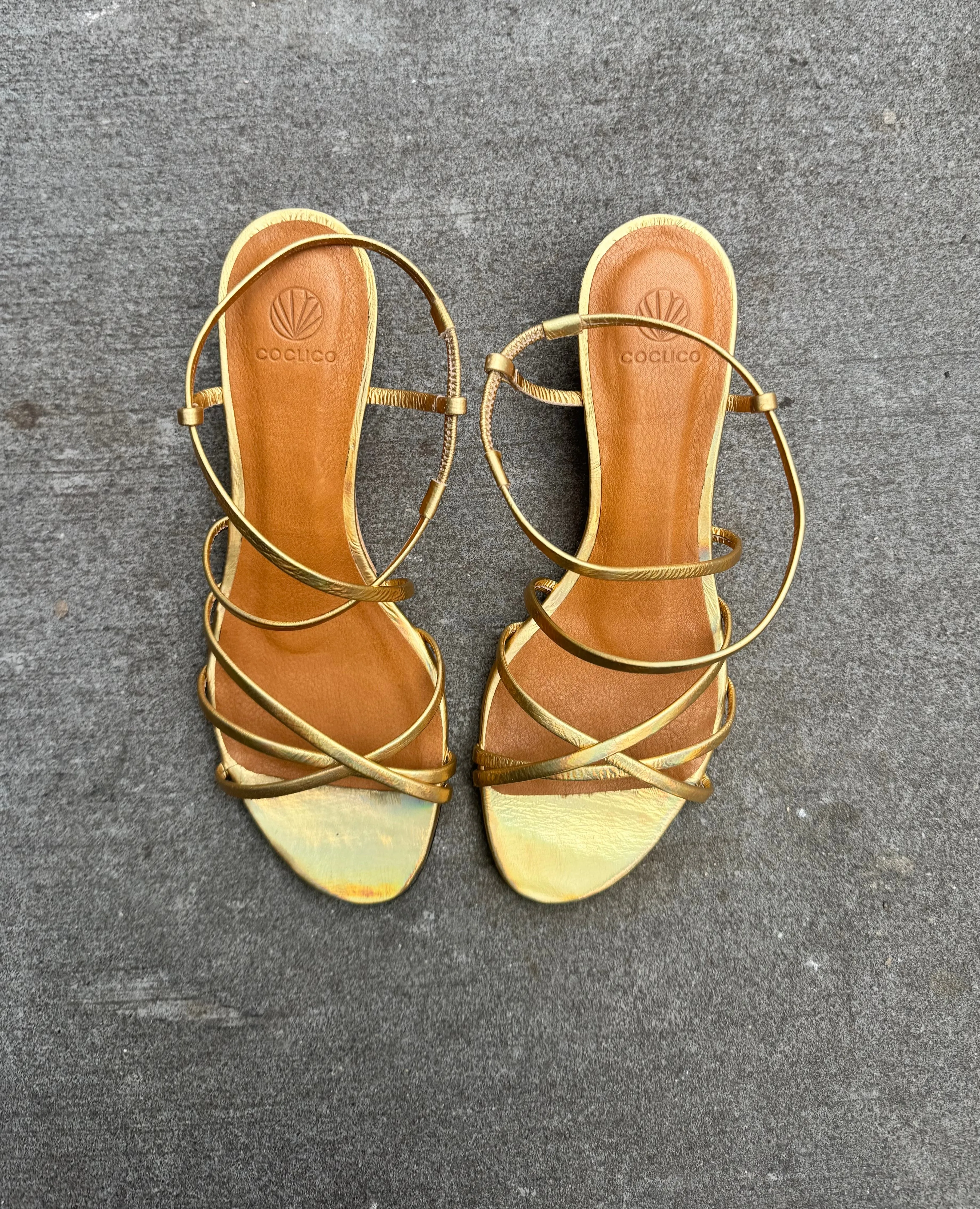 Warehouse Sale - Vain Wedge Iris Iridescent sold by COCLICO product image thumbnail 2