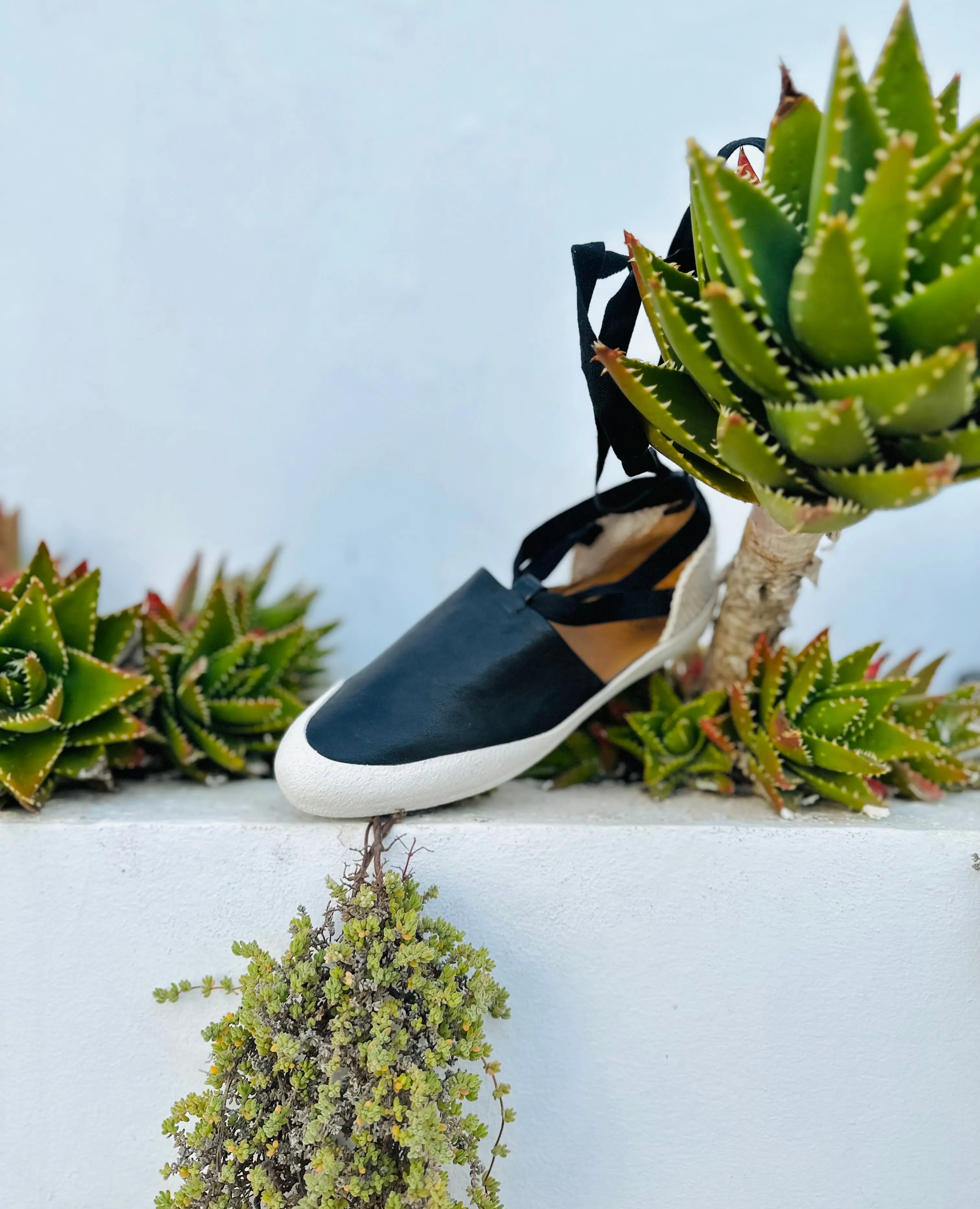 Kashm Sneaker sold by COCLICO product image thumbnail 3
