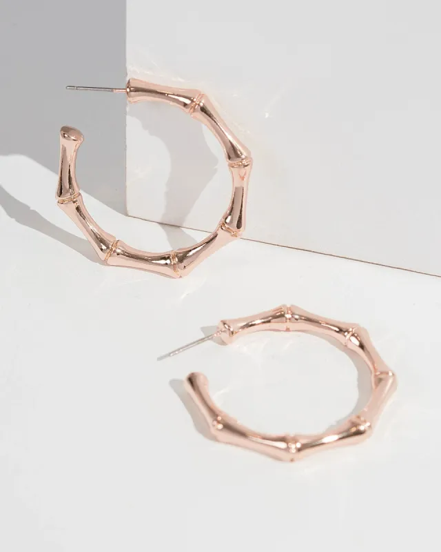 Rose Gold Double Hoop Earrings sold by Collete Hayman