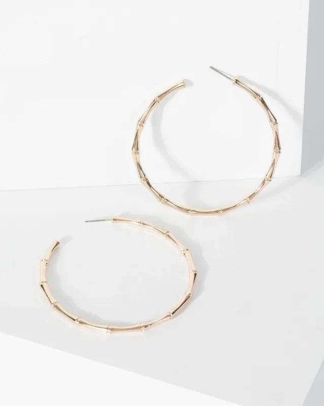 Gold Bamboo Style Hoop Earrings sold by Collete Hayman