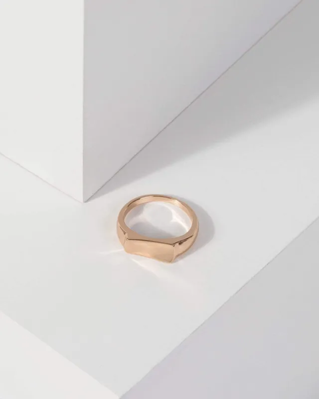 Gold Twist Signate Ring sold by Collete Hayman