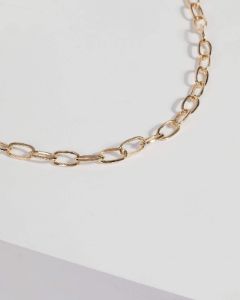 Gold Large Chain Necklace sold by Collete Hayman