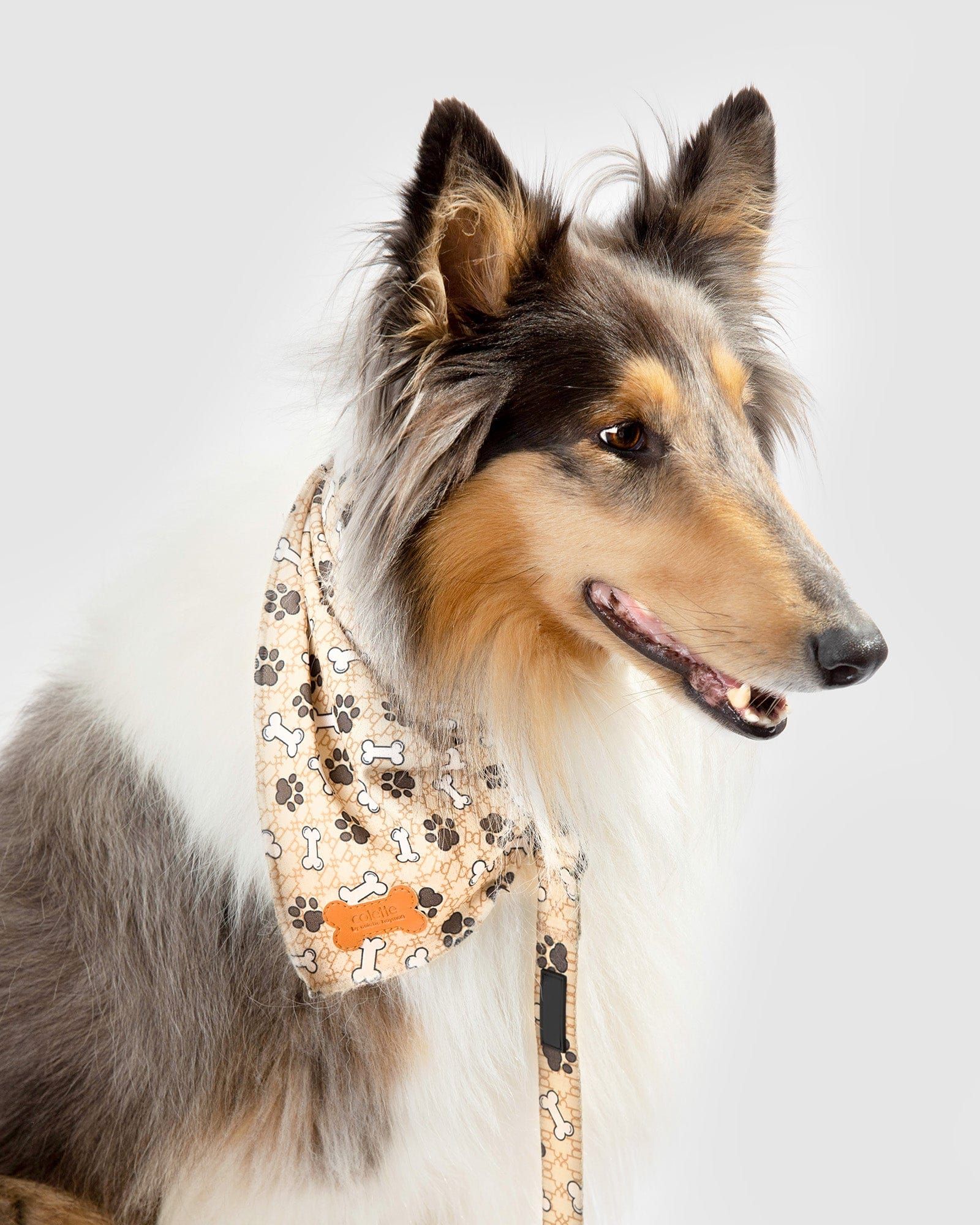 Neutral Paw & Bone Print Pet Bandana sold by Collete Hayman product image thumbnail 2