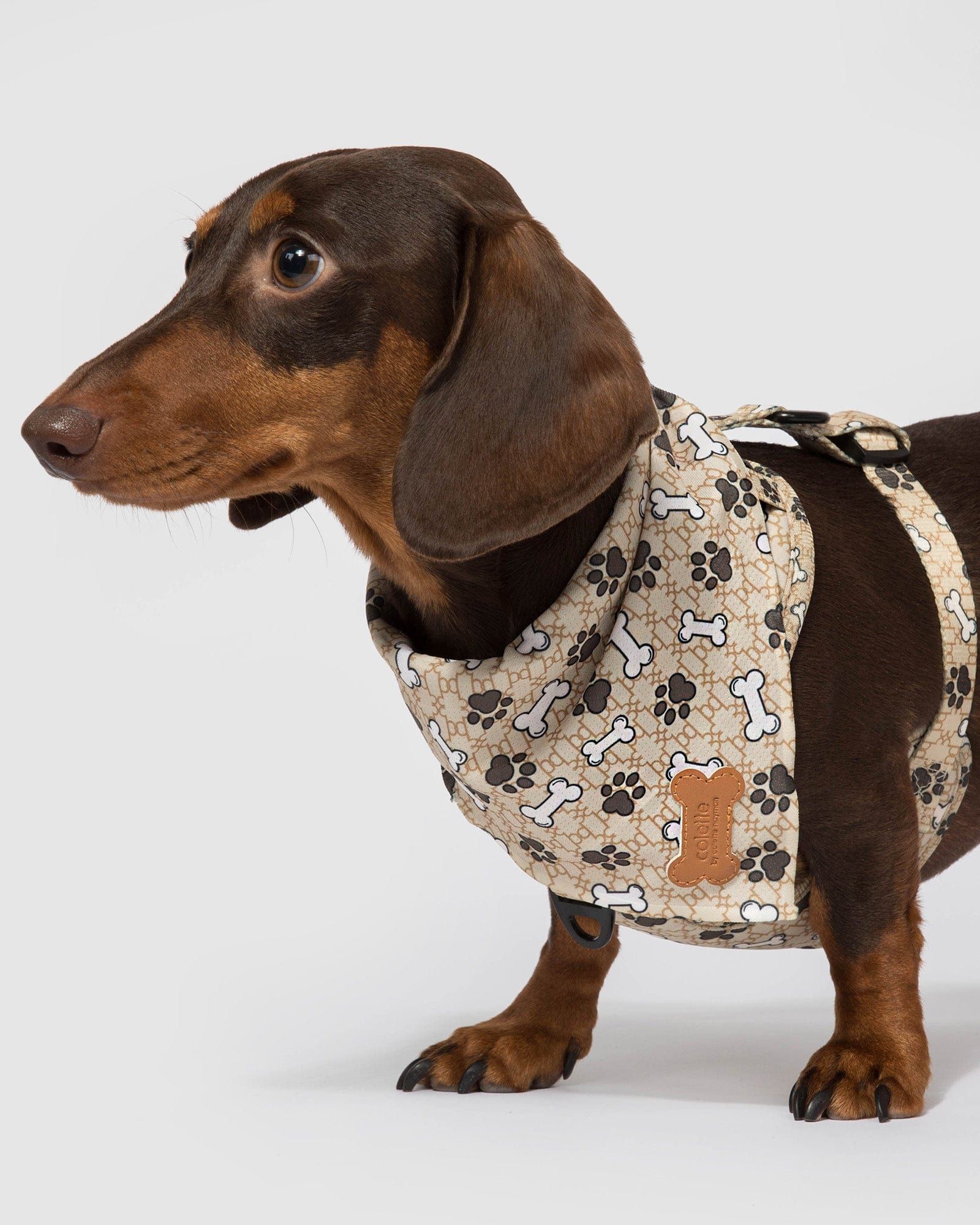 Neutral Paw & Bone Print Pet Bandana sold by Collete Hayman product image thumbnail 4