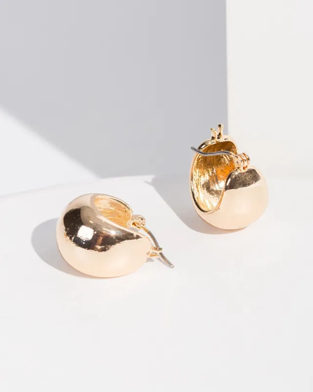 Gold Small Thick Hoop Earrings sold by Collete Hayman
