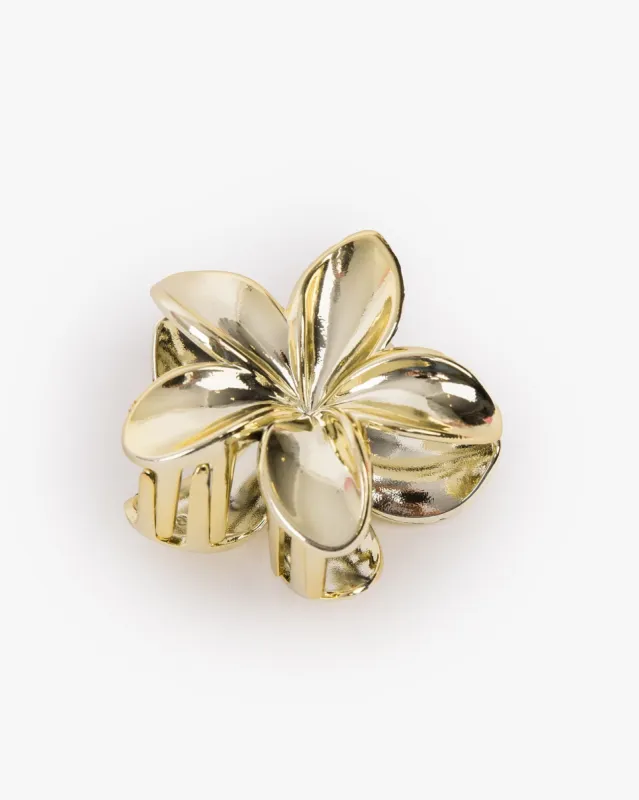 Gold Plain Frangipani Claw Clip sold by Collete Hayman