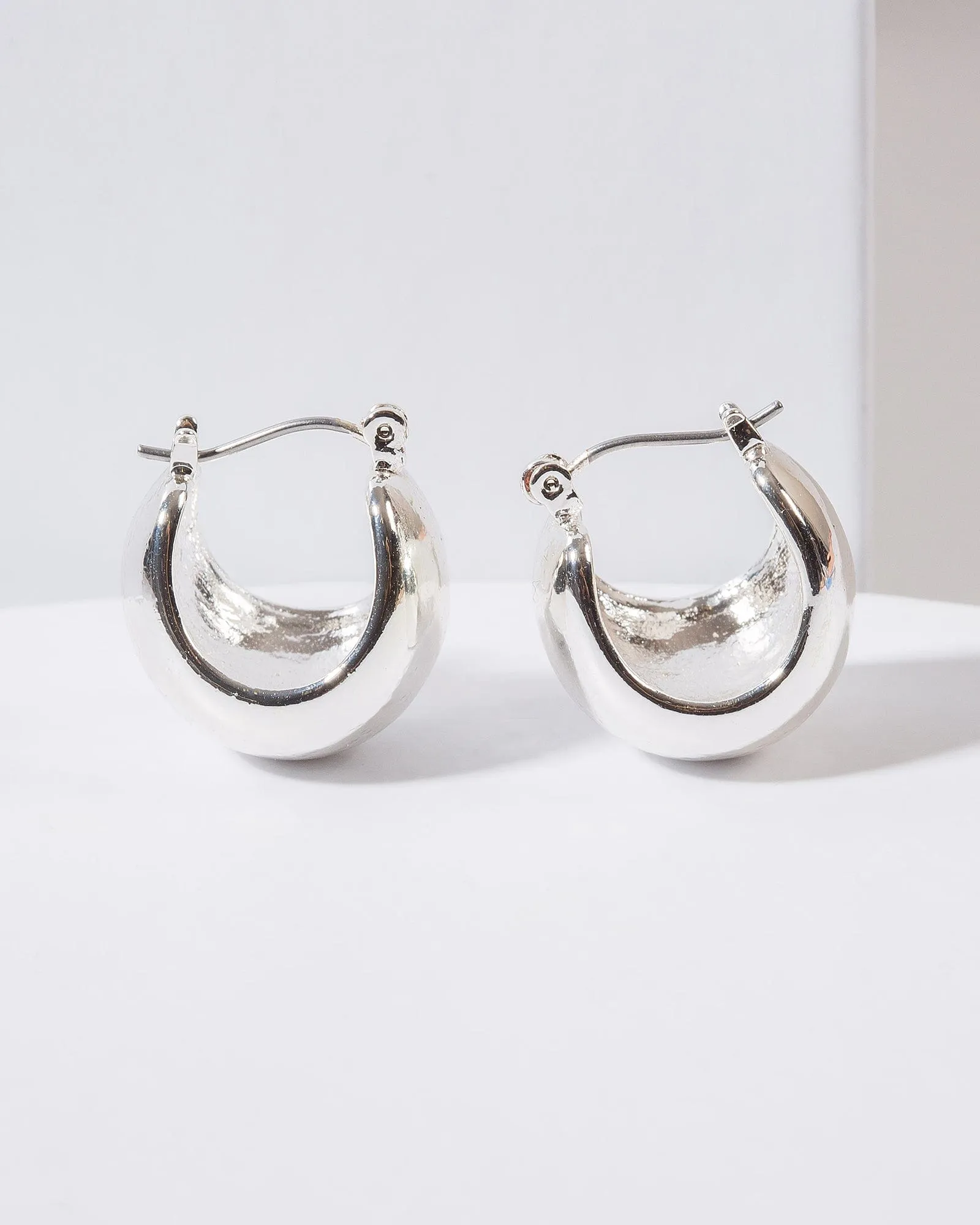 Silver Small Thick Hoop Earrings sold by Collete Hayman