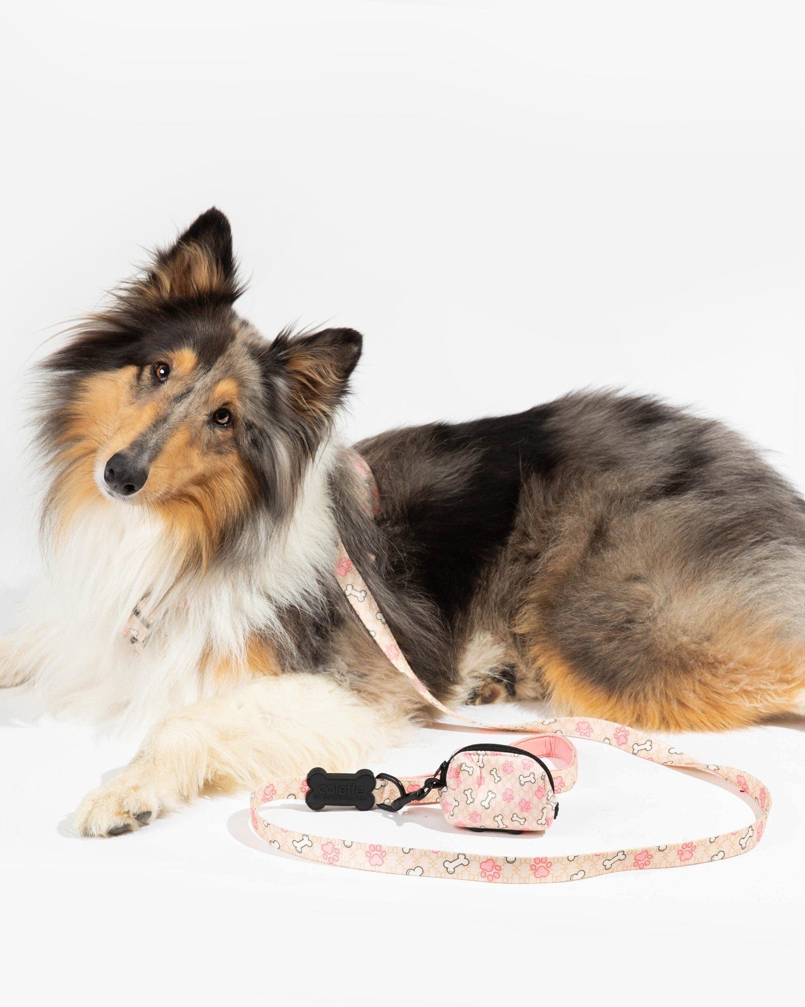 Pink Paw & Bone Print Pet Leash sold by Collete Hayman product image thumbnail 3