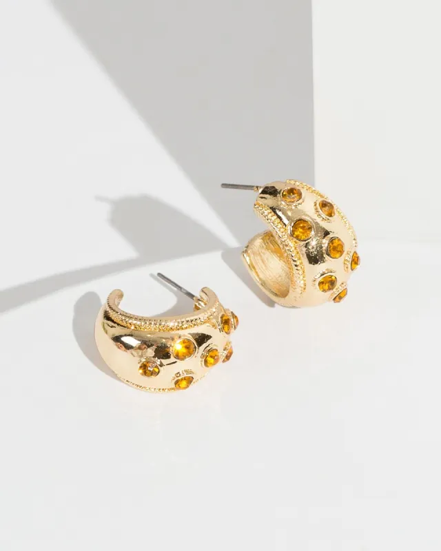 Brown Crystal Hoop Earrings sold by Collete Hayman