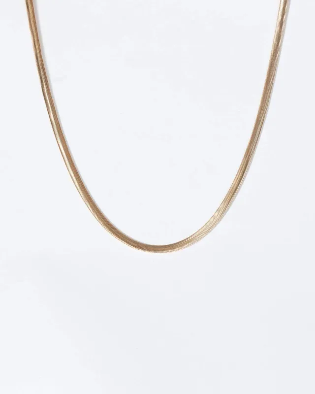 Gold Medium Snake Chain Short Necklace sold by Collete Hayman