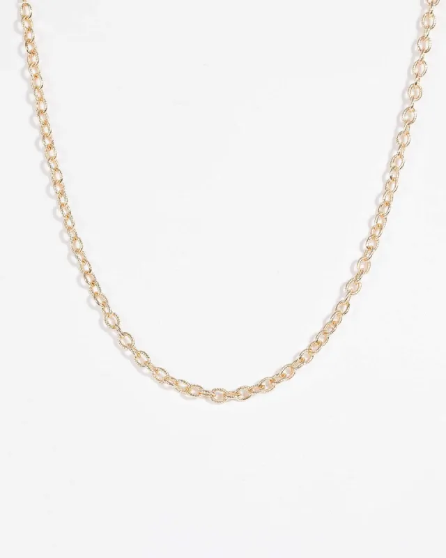 Gold Textured Medium Chain Necklace sold by Collete Hayman