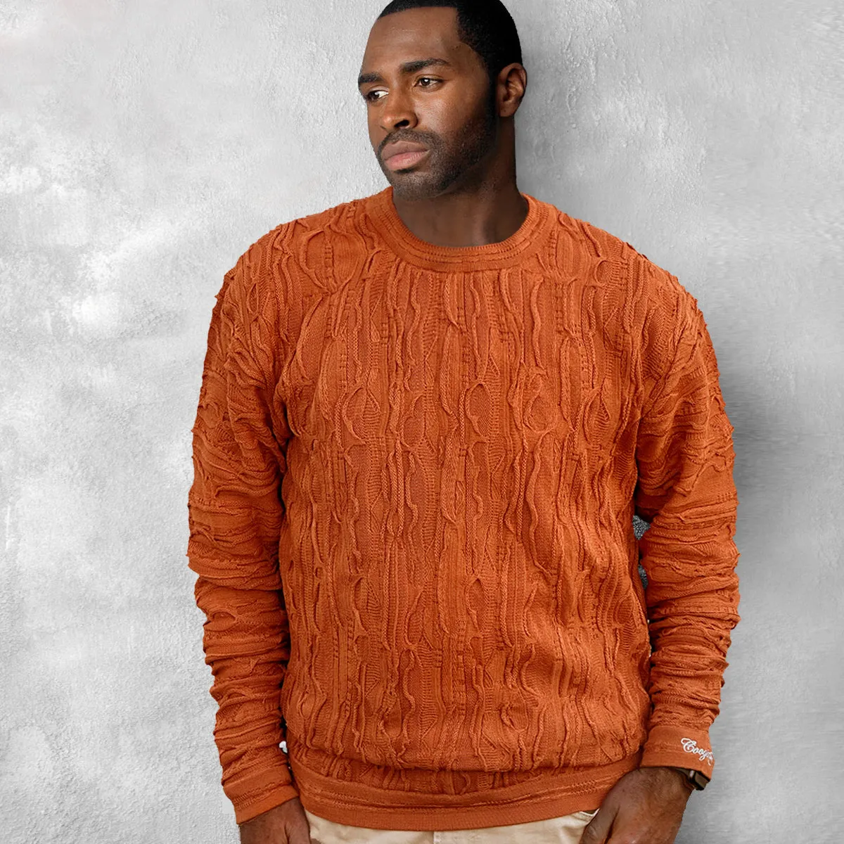 COOGI Rust Crewneck sold by COOGI product image thumbnail 2