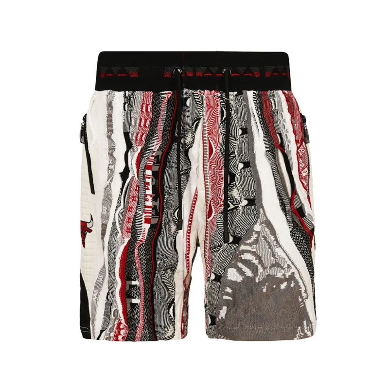 New - COOGI X NBA X Protege - Chicago Bulls Sweater Knit Basketball Shorts sold by COOGI
