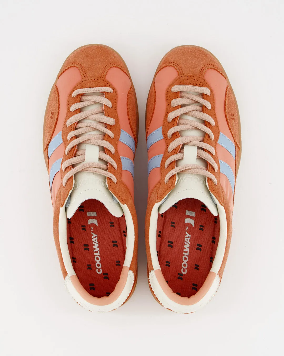 Kizuna Coral sold by Coolway product image thumbnail 4