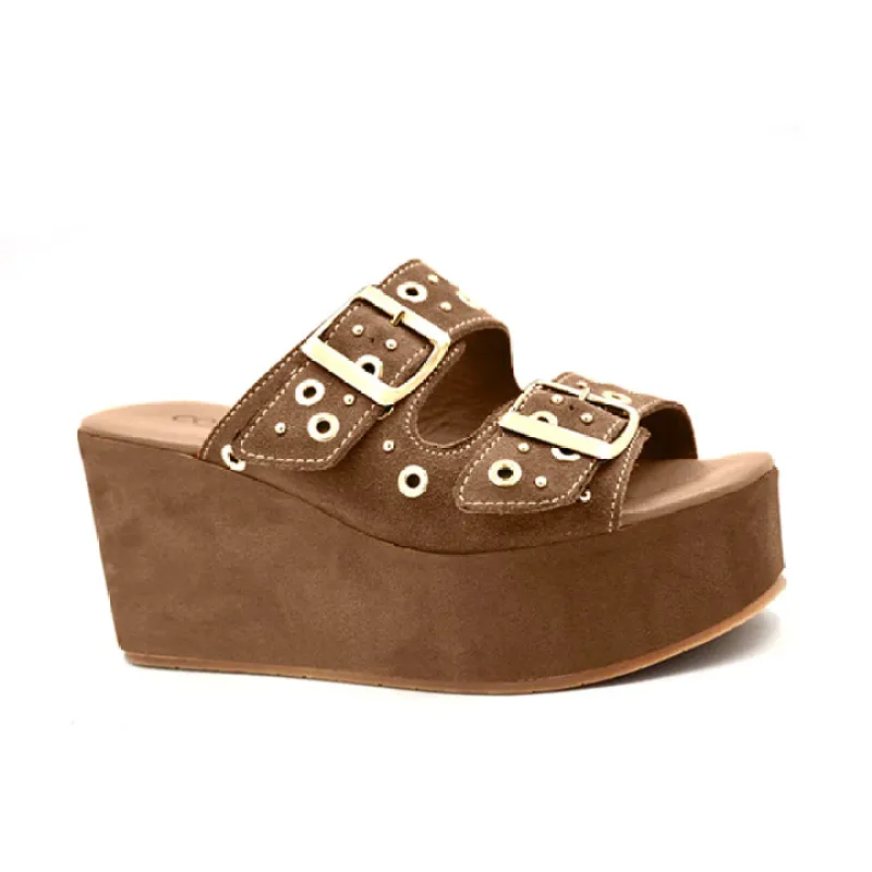 Jayne sold by Cordani