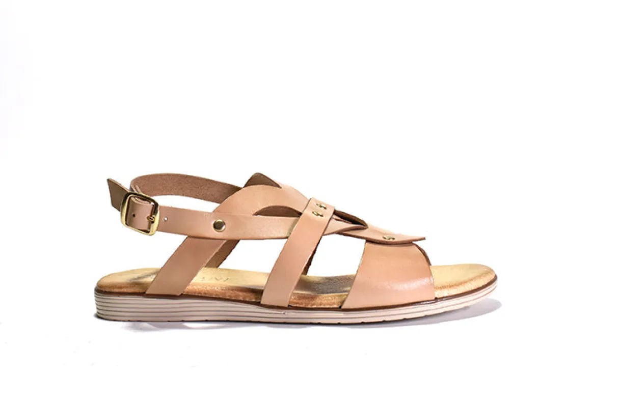 Frisco sold by Cordani