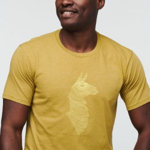 Topo Llama T-Shirt - Men's - SALE sold by cotopaxi