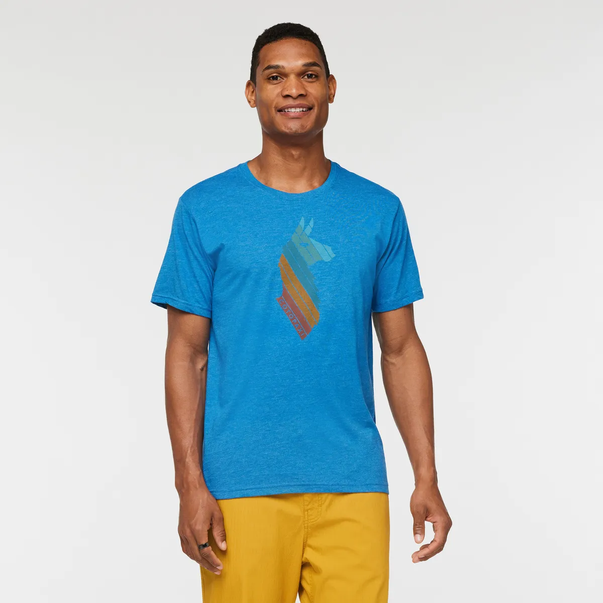 Llama Stripes T-Shirt - Men's sold by cotopaxi