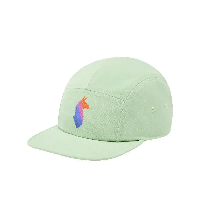Llama Stripes 5-Panel Hat sold by cotopaxi