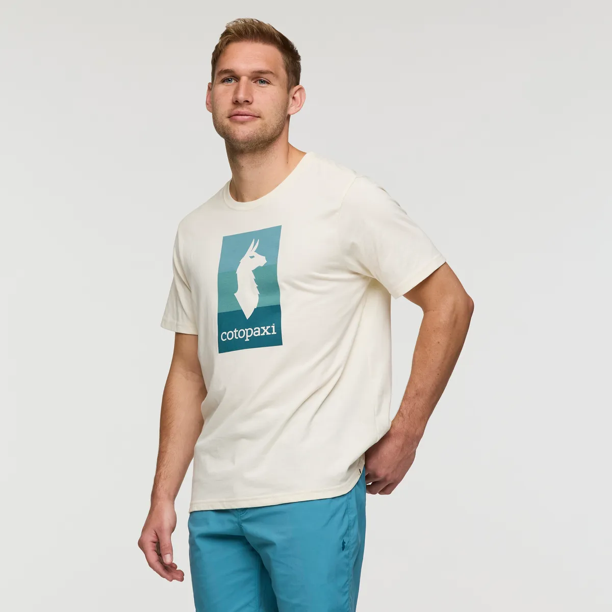 Llama Block T-Shirt - Men's sold by cotopaxi