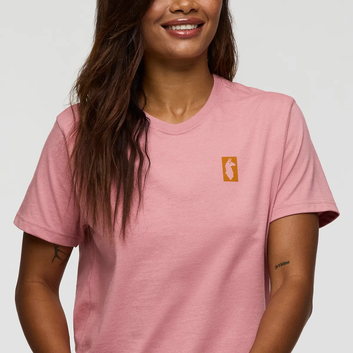 Gear For Good Stripes T-Shirt - Women's sold by cotopaxi product image thumbnail 5