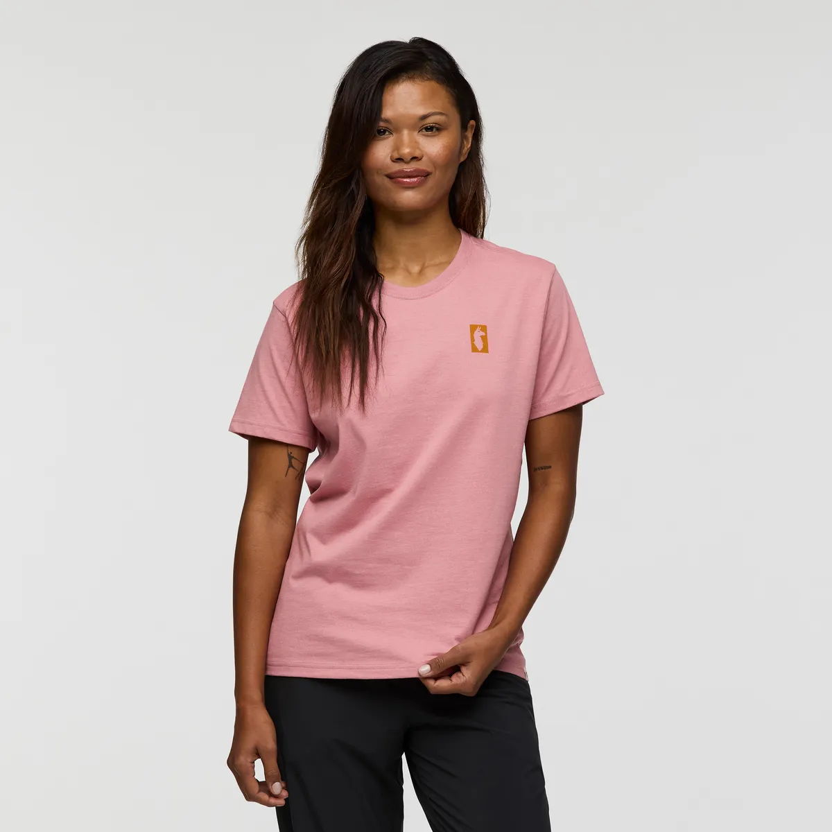 Gear For Good Stripes T-Shirt - Women's sold by cotopaxi