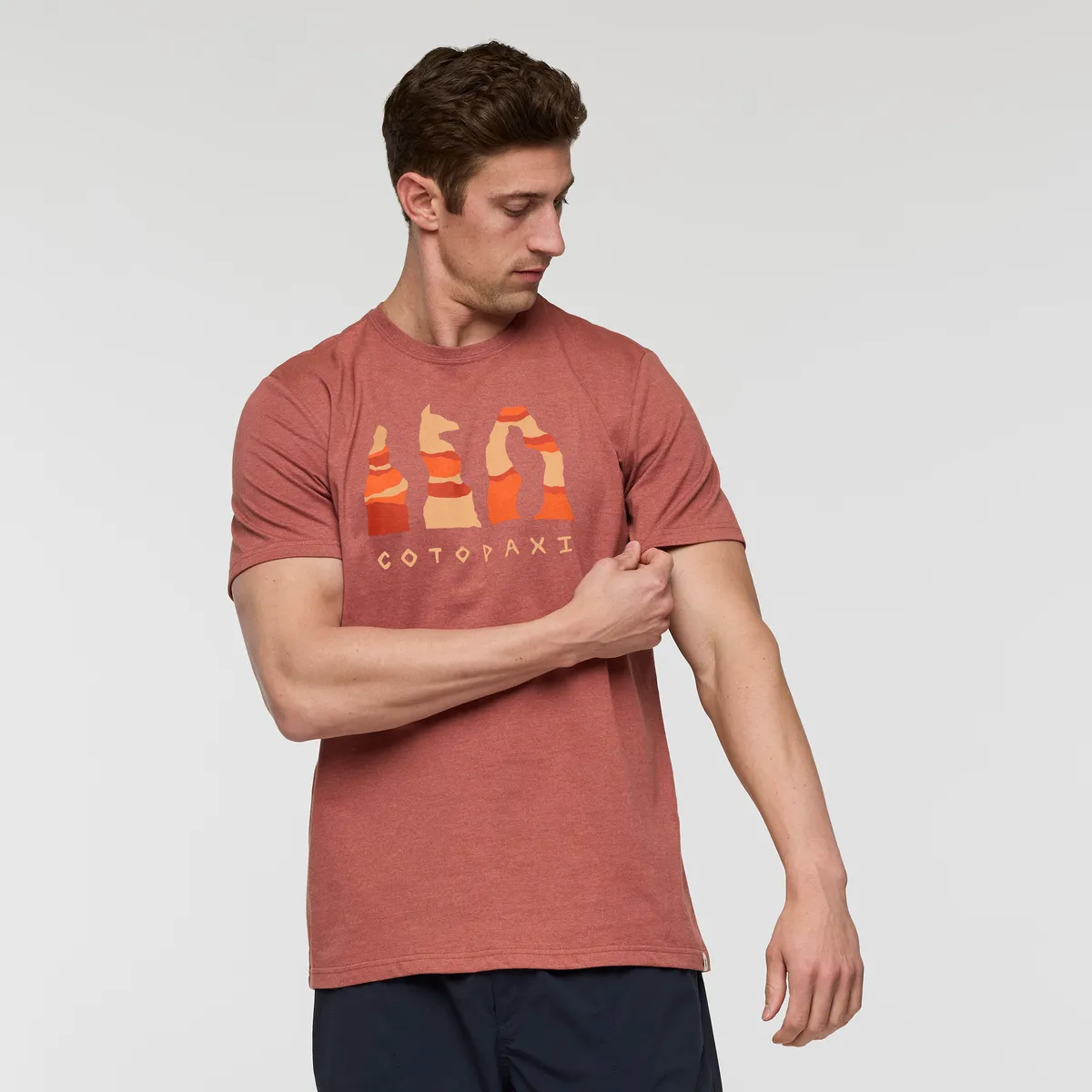 Llama Hoodoo T-Shirt - Men's sold by cotopaxi