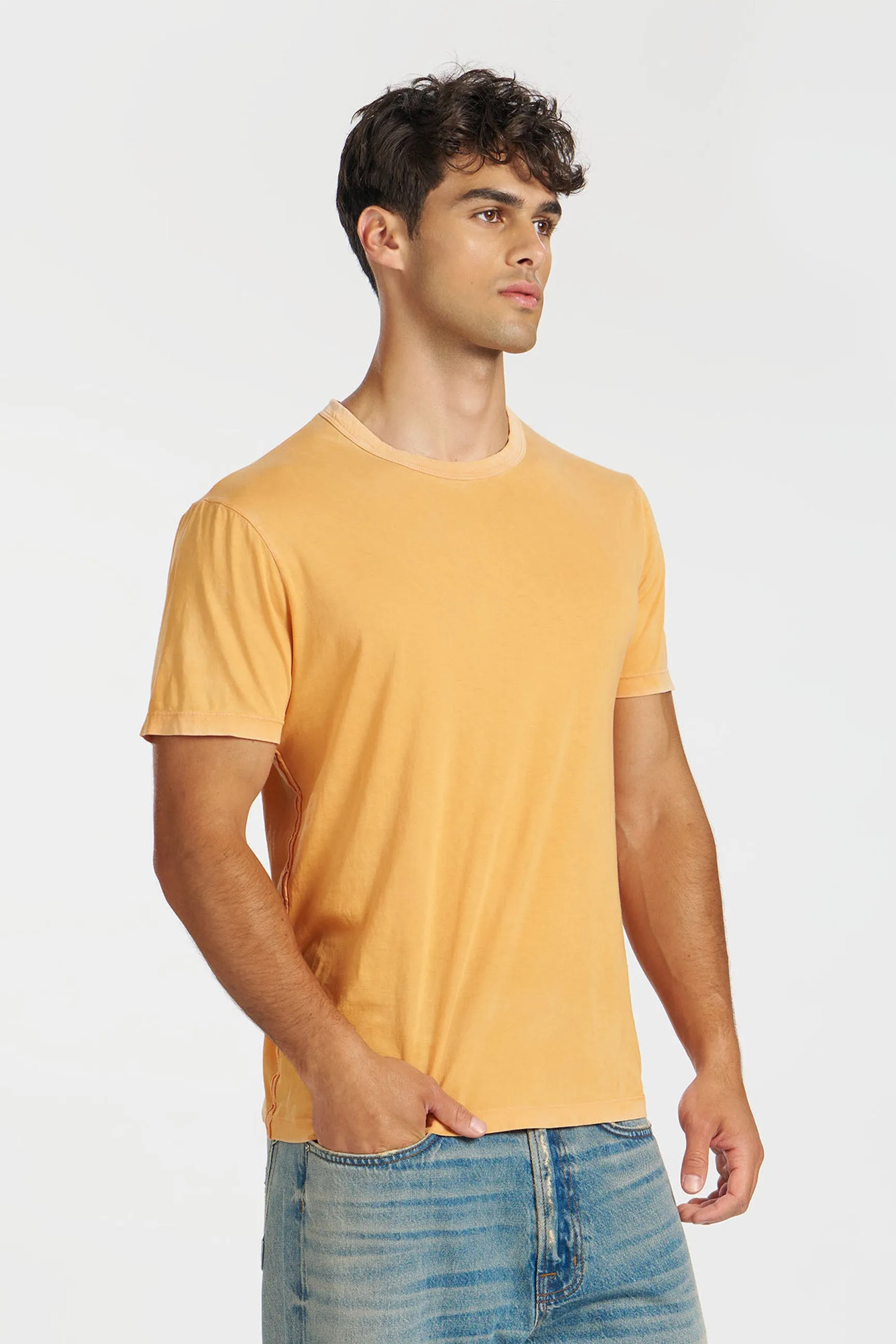 Classic Crewneck Tee sold by Cotton Citizen product image thumbnail 3