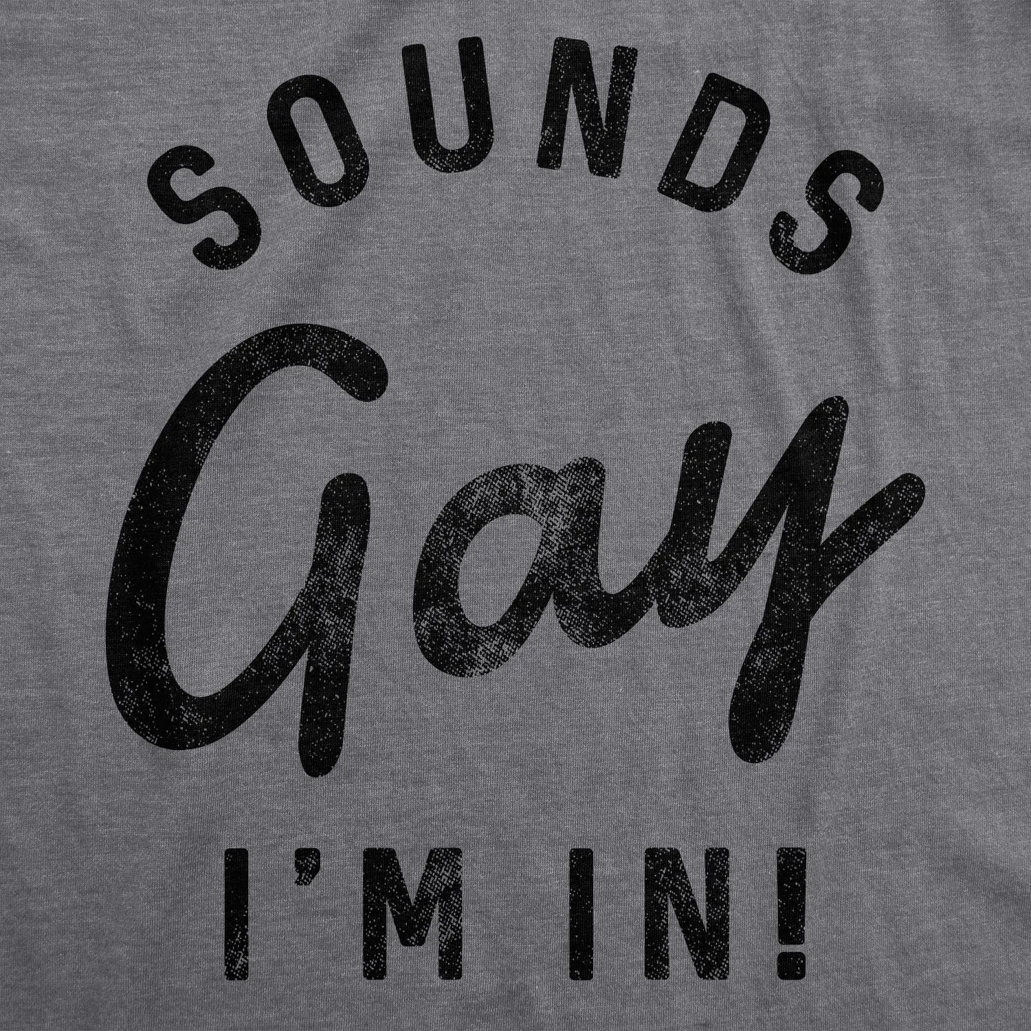Sounds Gay I'm In Women's T Shirt sold by Crazy Dog T-Shirts product image thumbnail 2