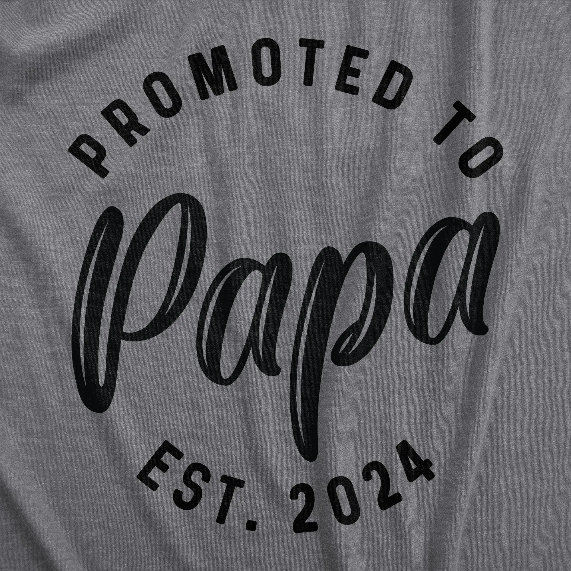 Promoted To Papa 2024 sold by Crazy Dog T-Shirts product image thumbnail 2