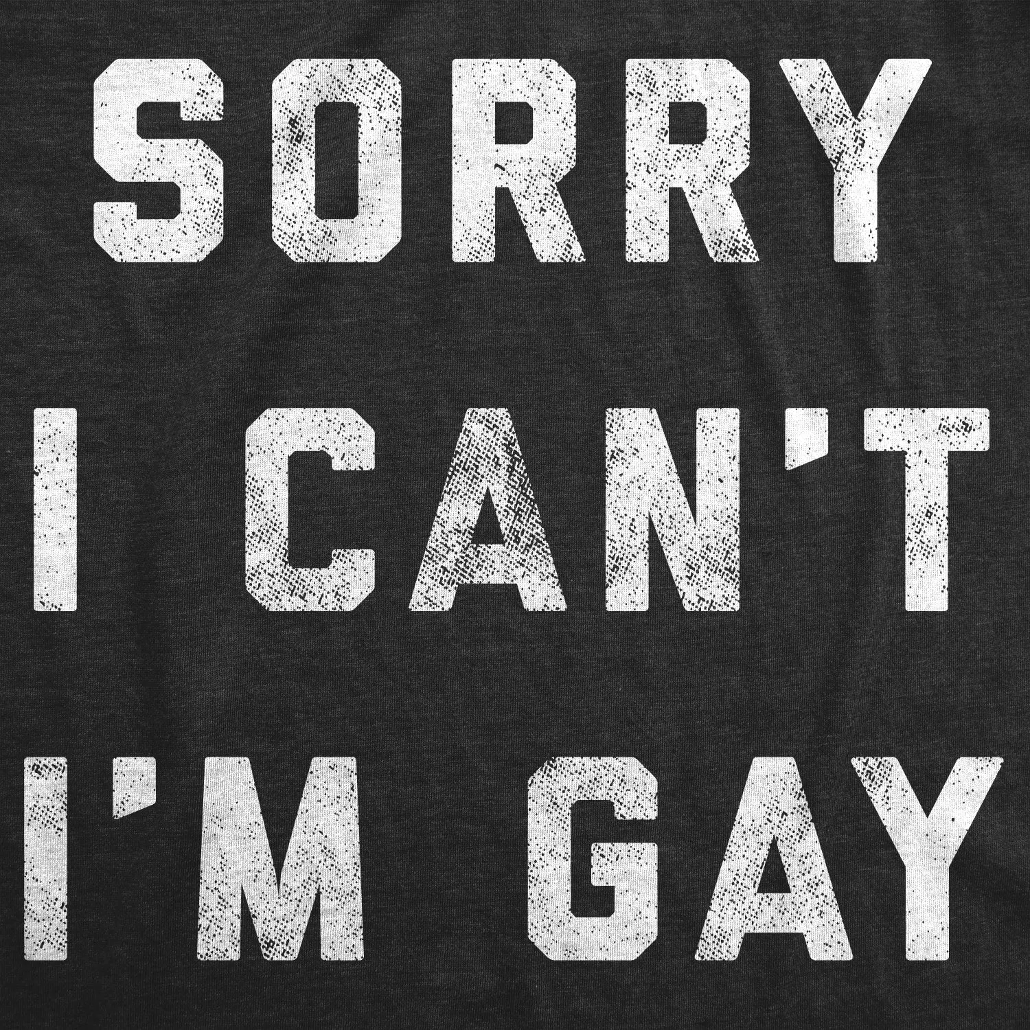 Sorry I Can't I'm Gay Women's T Shirt sold by Crazy Dog T-Shirts product image thumbnail 2