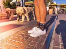Womens Tell Your Dog I Said Hi Socks sold by Crazy Dog T-Shirts