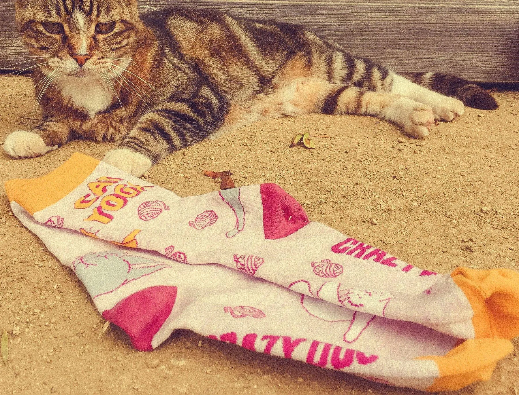 Women's Cat Yoga Socks sold by Crazy Dog T-Shirts product image thumbnail 5