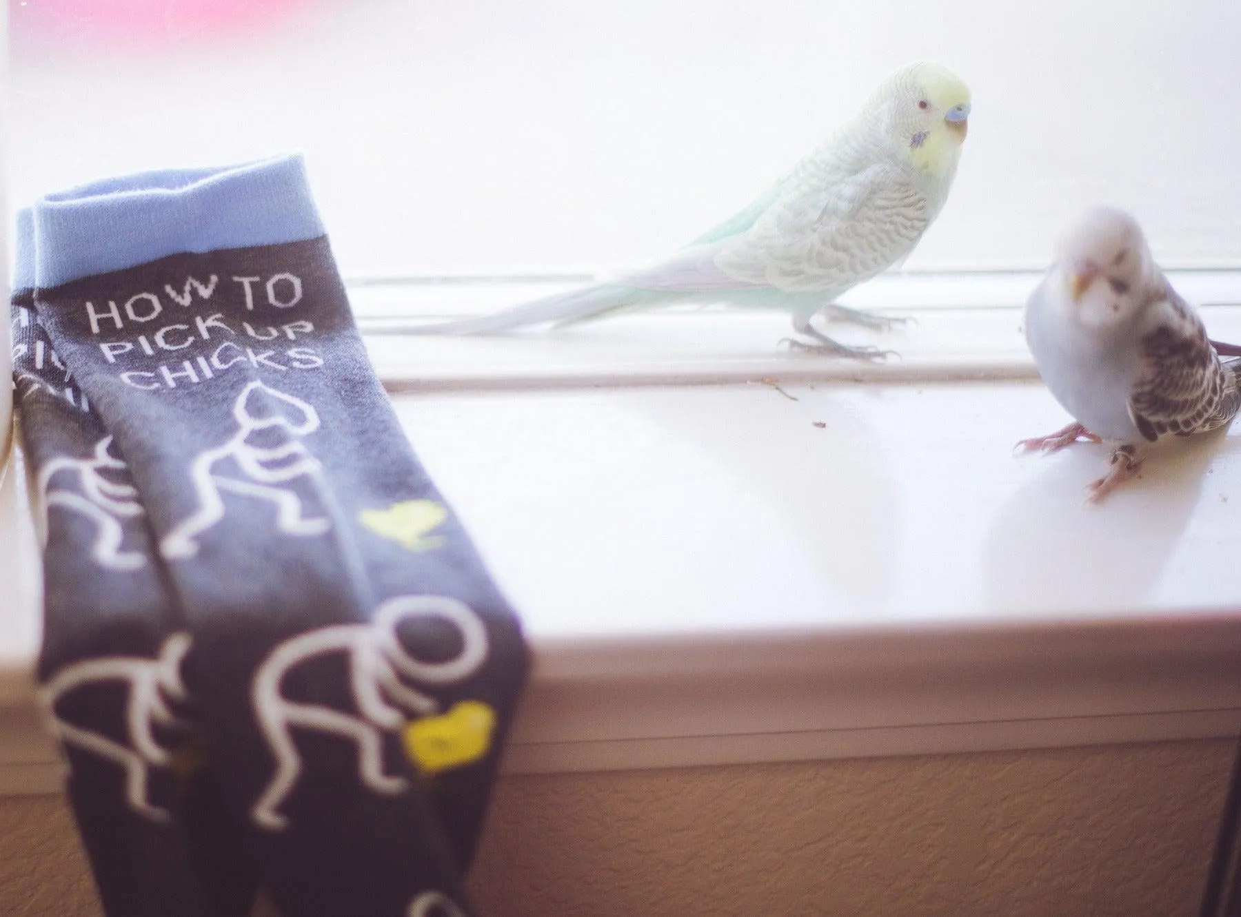 Men's How To Pick Up Chicks Socks sold by Crazy Dog T-Shirts product image thumbnail 5