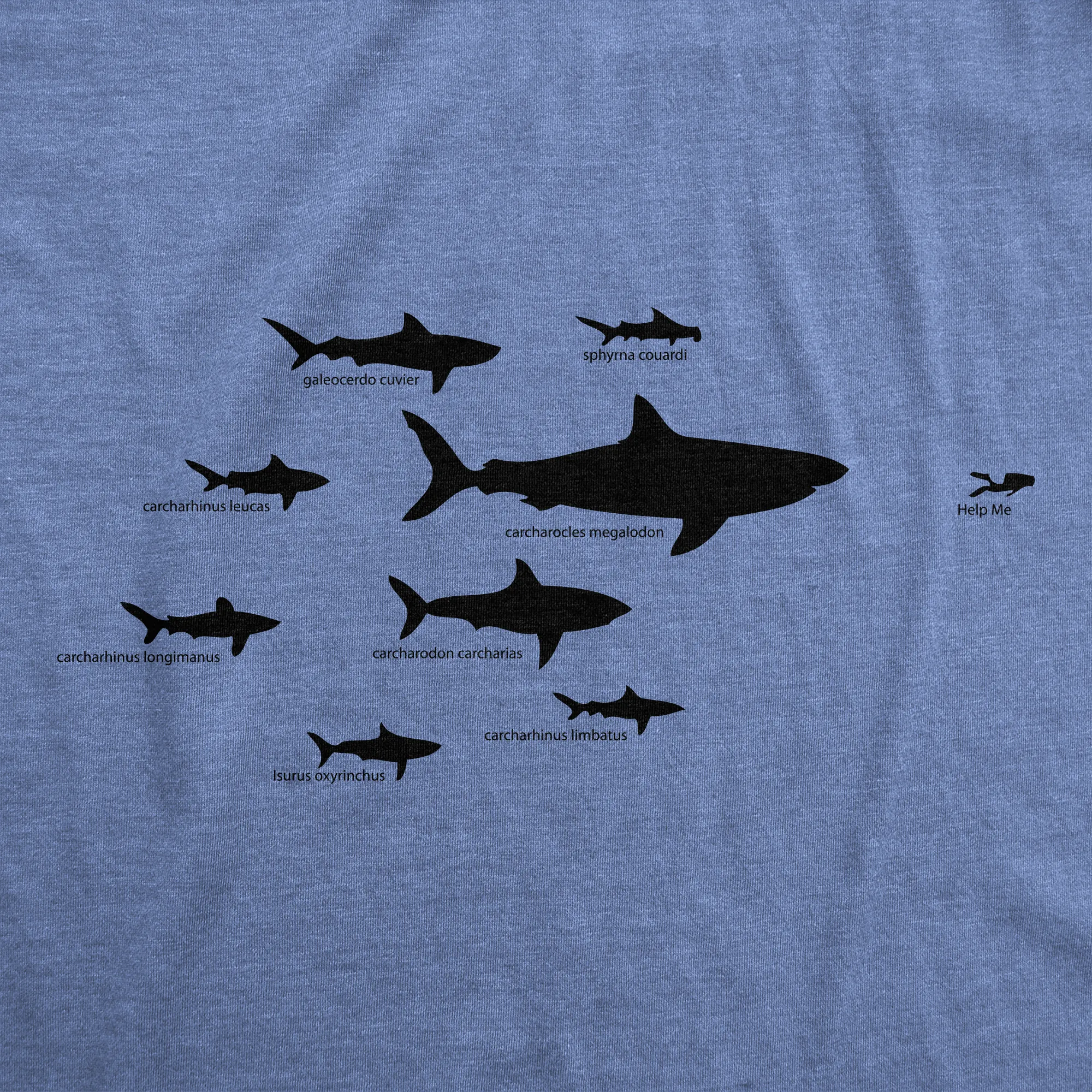 Shark Hierarchy Women's T Shirt sold by Crazy Dog T-Shirts product image thumbnail 2
