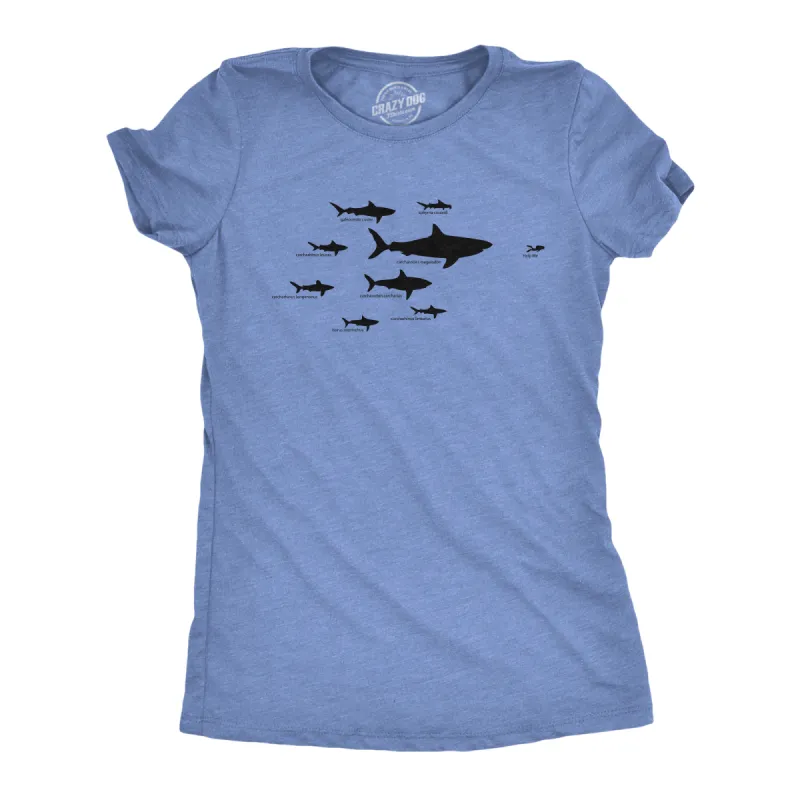 Shark Hierarchy Women's T Shirt sold by Crazy Dog T-Shirts