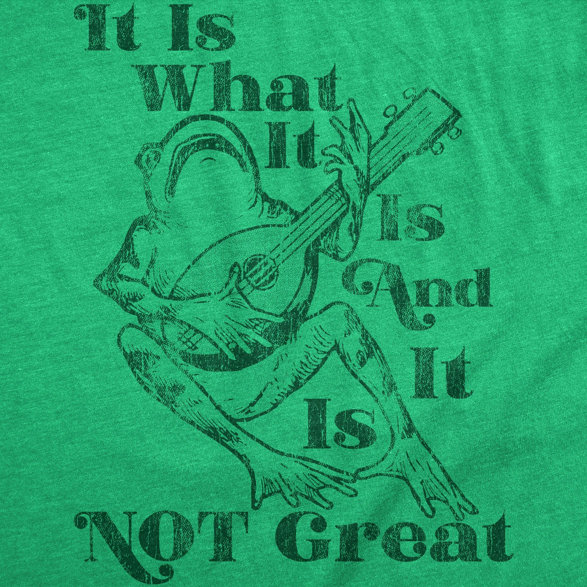 It Is What It Is And It Is Not Great Women's T Shirt sold by Crazy Dog T-Shirts product image thumbnail 2
