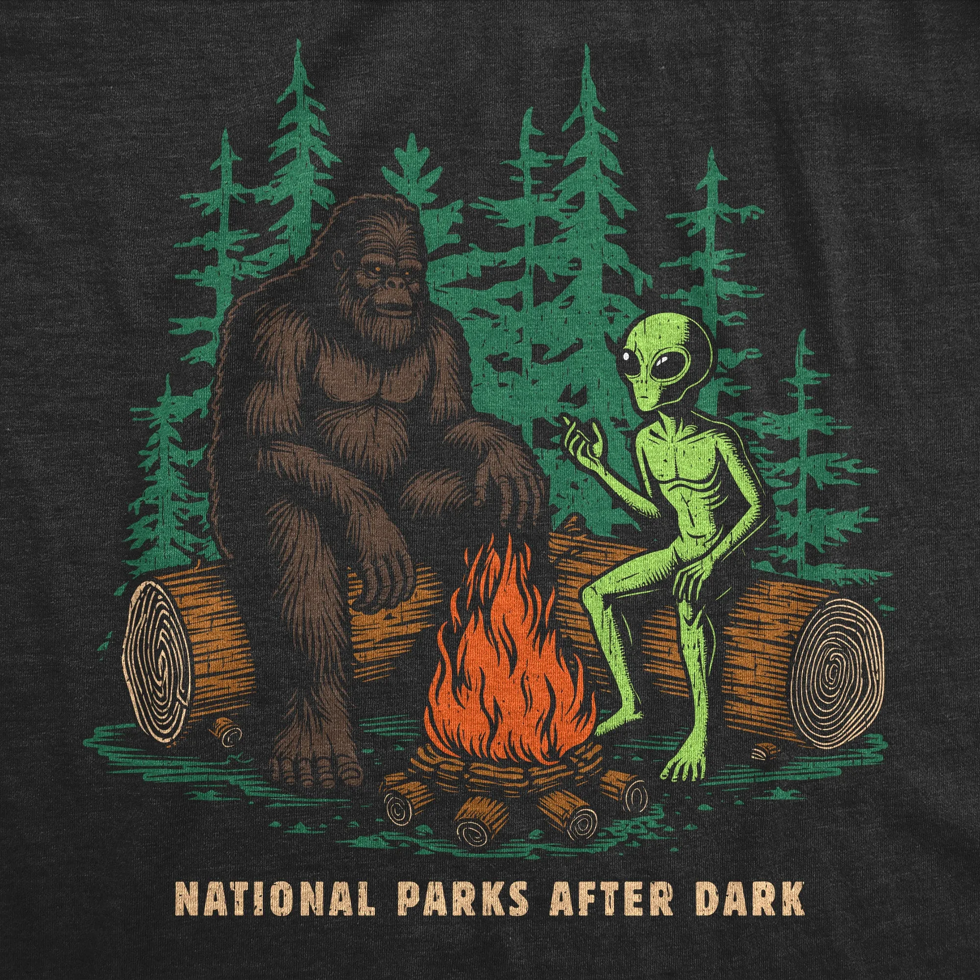 National Parks After Dark Men's T Shirt sold by Crazy Dog T-Shirts product image thumbnail 2
