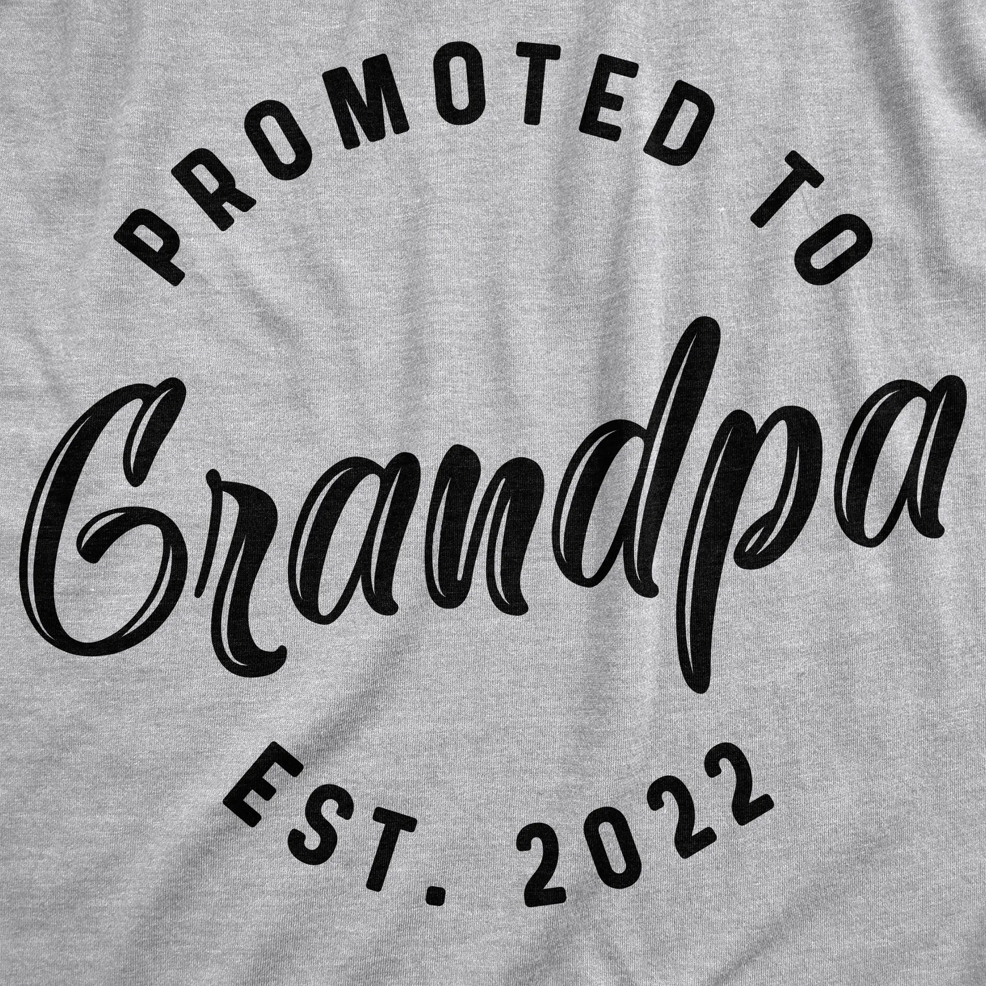 Promoted To Grandpa 2022 and 2023 Hoodie sold by Crazy Dog T-Shirts product image thumbnail 2