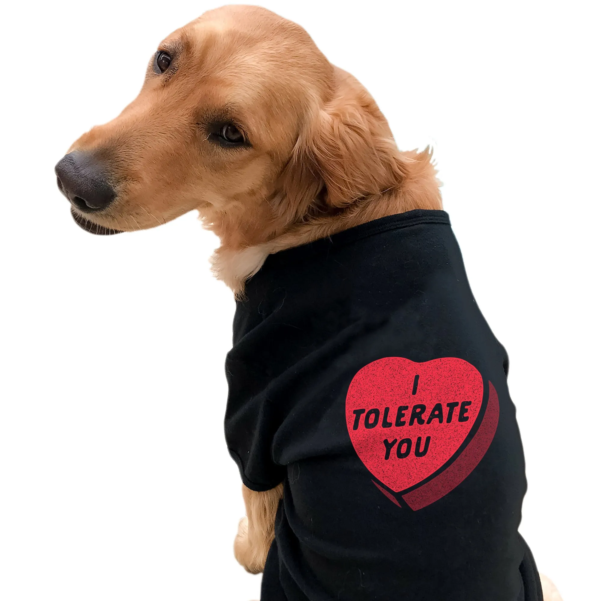 I Tolerate You Dog Shirt sold by Crazy Dog T-Shirts product image thumbnail 3