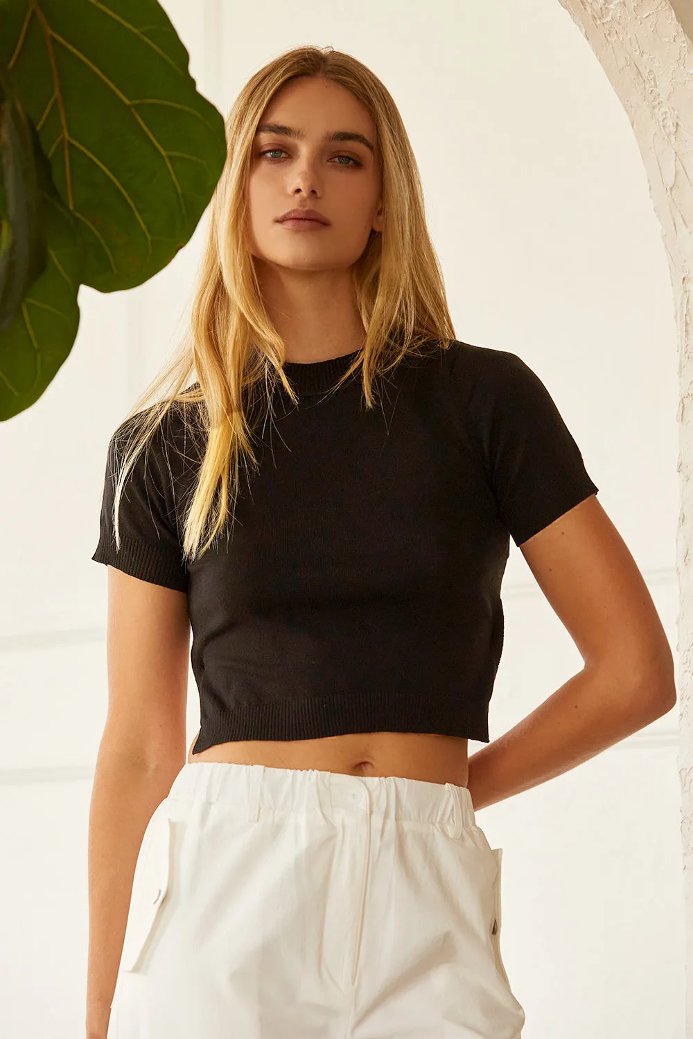 Envie Short Sleeve Tie-Back Knit Top sold by Crescent product image thumbnail 3