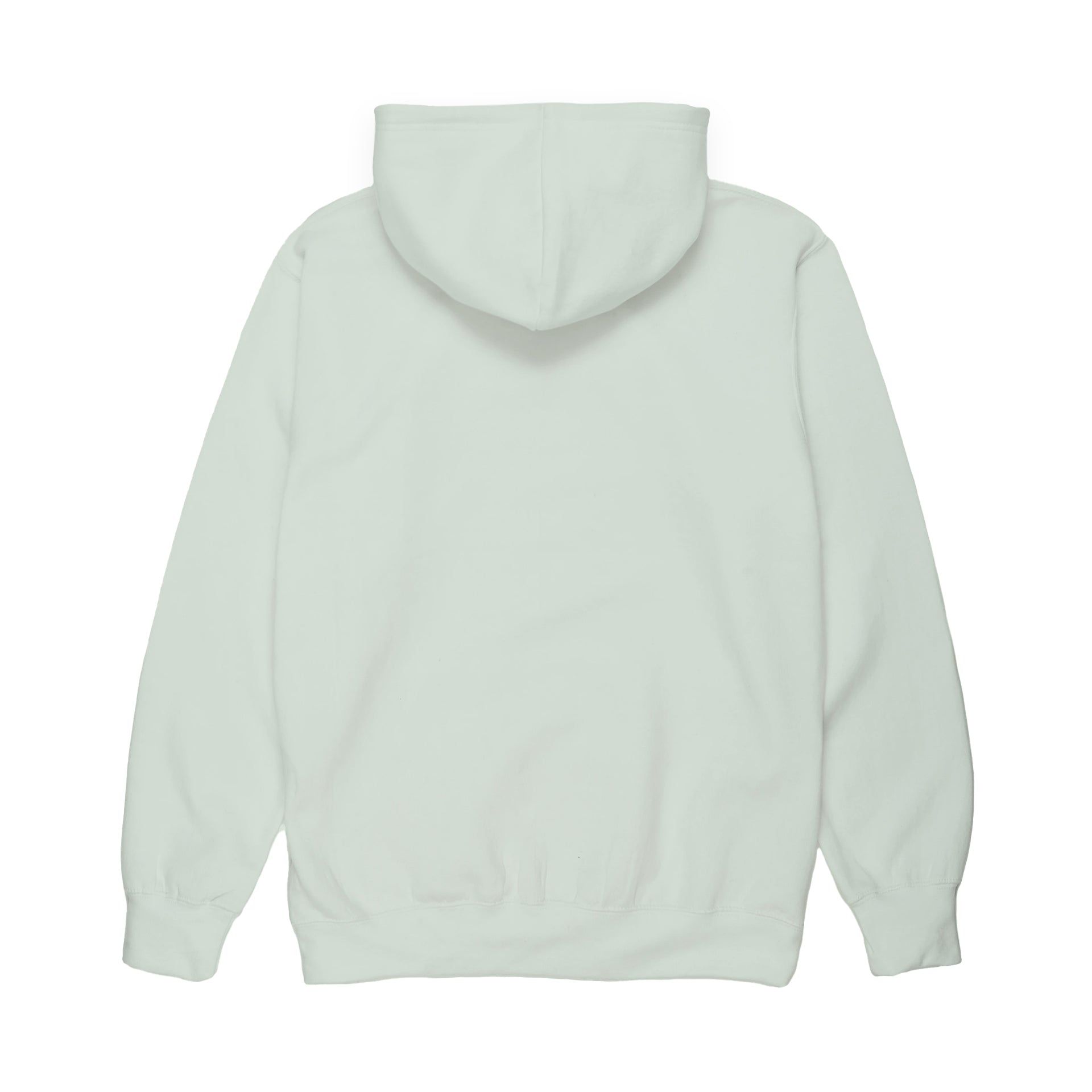 Essential Hoodie - Mint sold by Crooks & Castles product image thumbnail 2