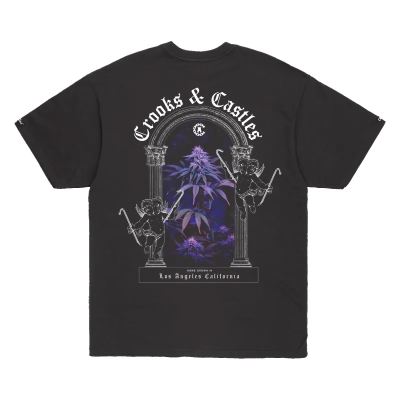 Home Grown Tee sold by Crooks & Castles