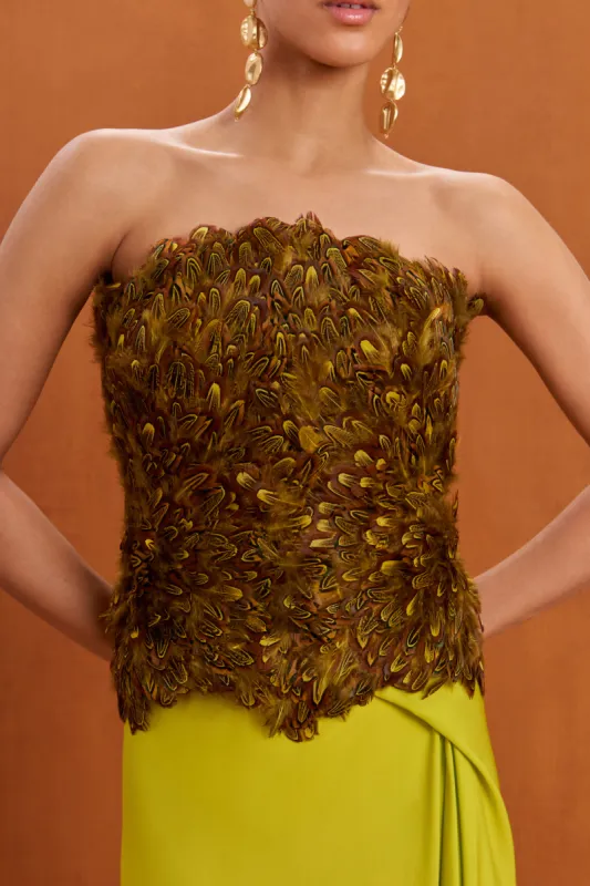 MANA TOP - ALGAE MULTI made by Cult Gaia