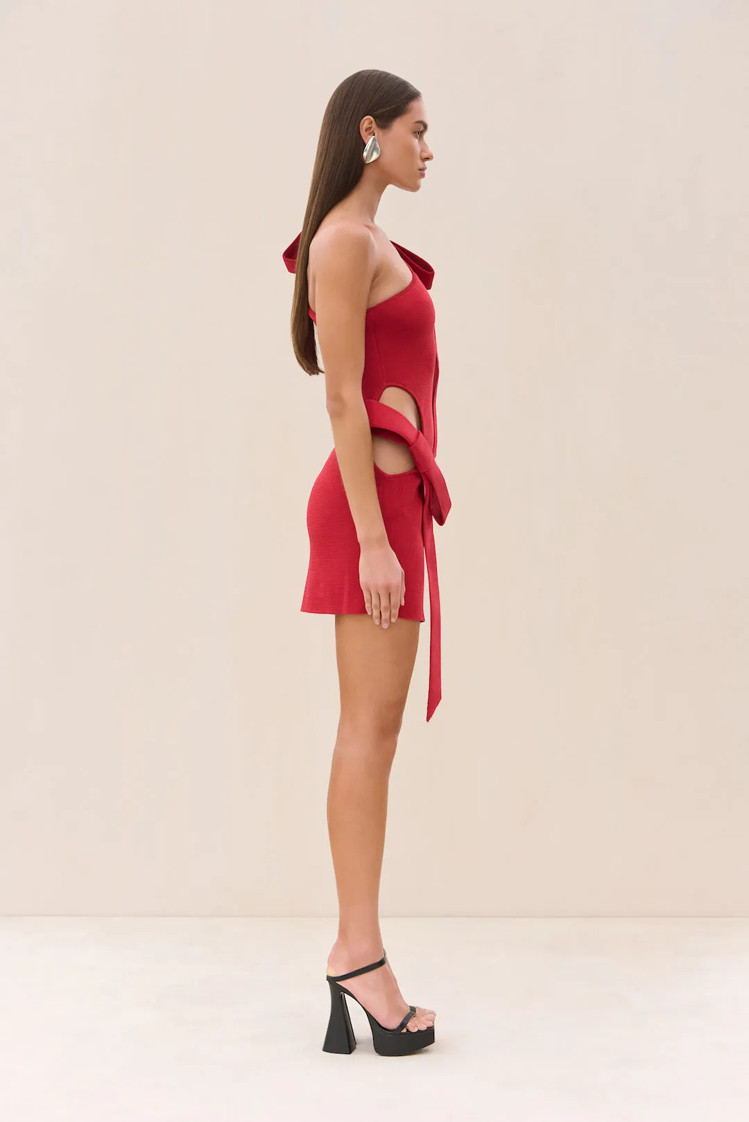 BLENDIE KNIT DRESS - MERLOT sold by Cult Gaia product image thumbnail 5