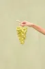 GRAPE CLUTCH - DOMINGA sold by Cult Gaia