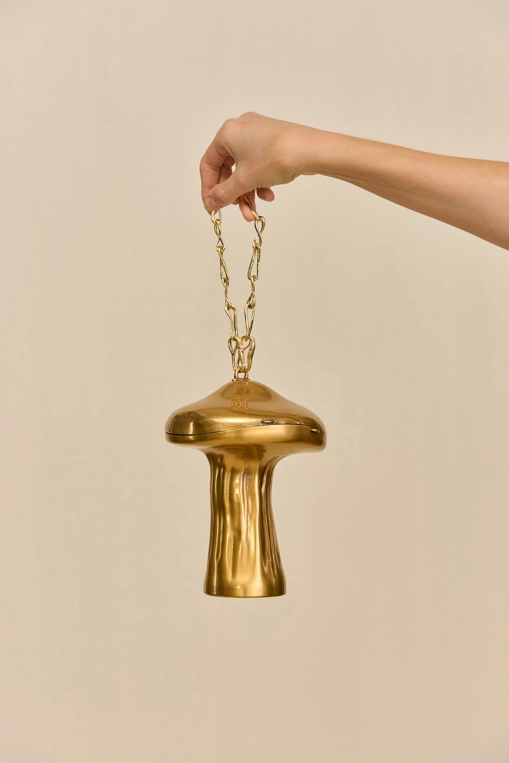 FUNGO CLUTCH - BRUSHED BRASS sold by Cult Gaia product image thumbnail 4