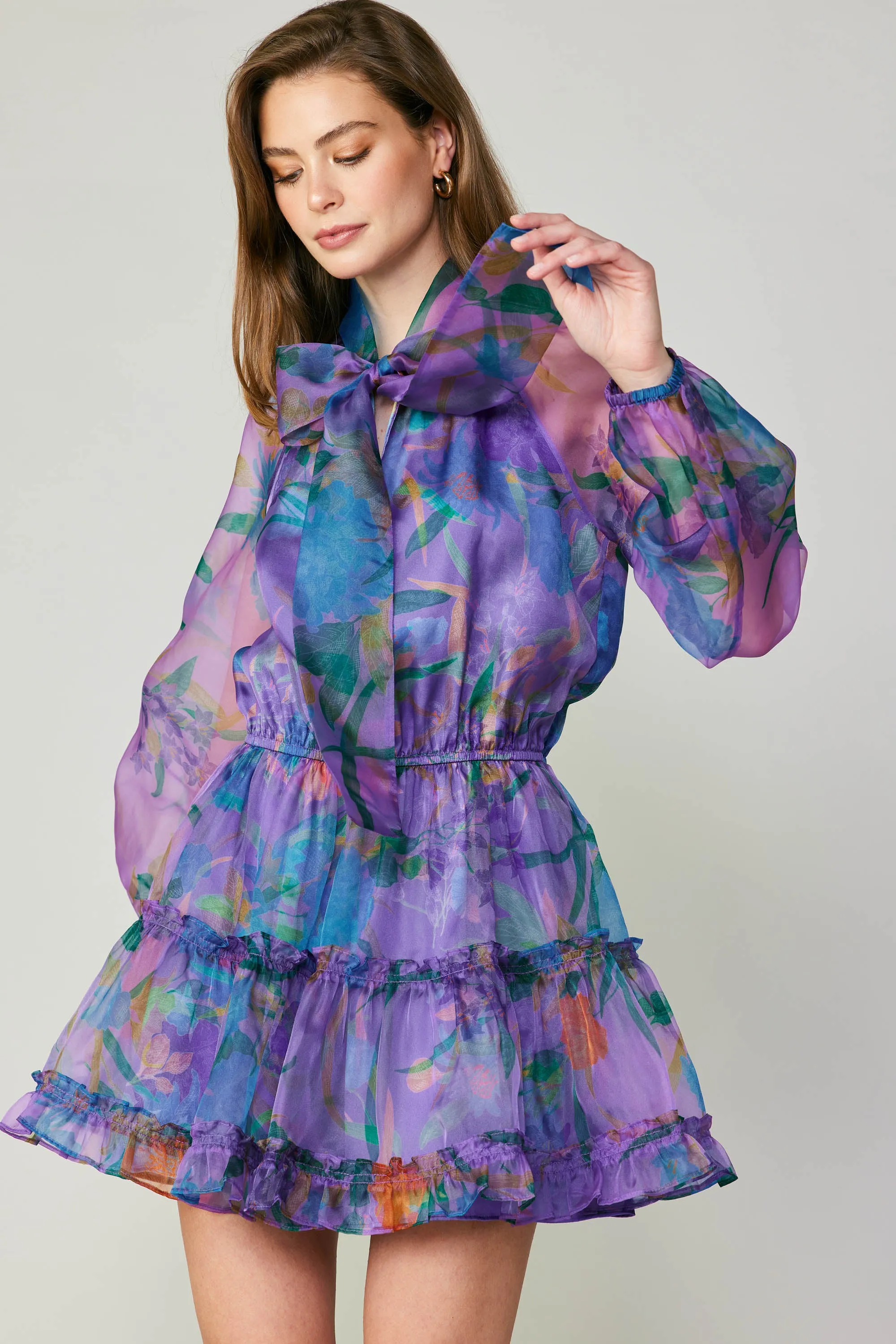 Floral Organza Mini Dress sold by Current Air product image thumbnail 3
