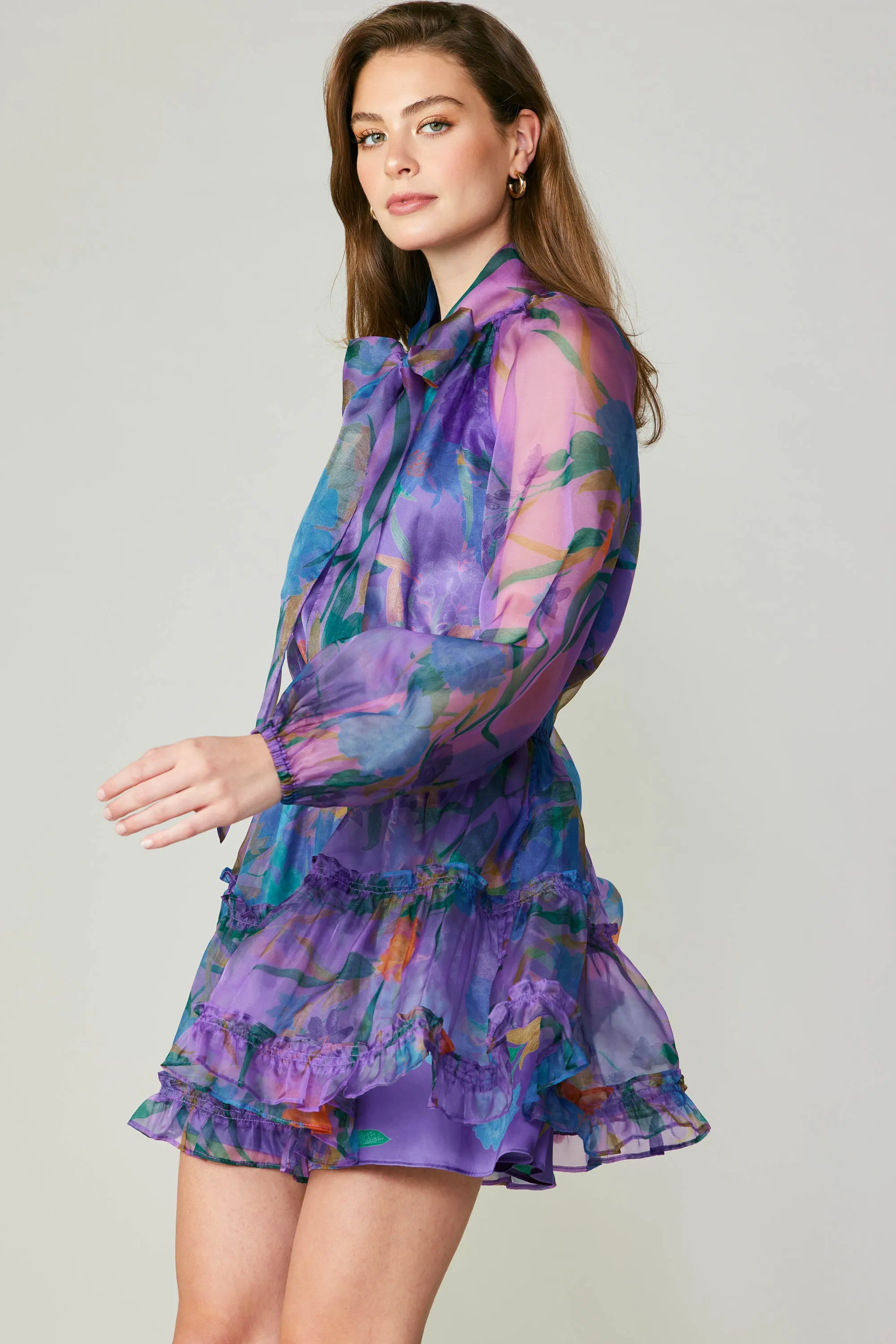 Floral Organza Mini Dress sold by Current Air product image thumbnail 5
