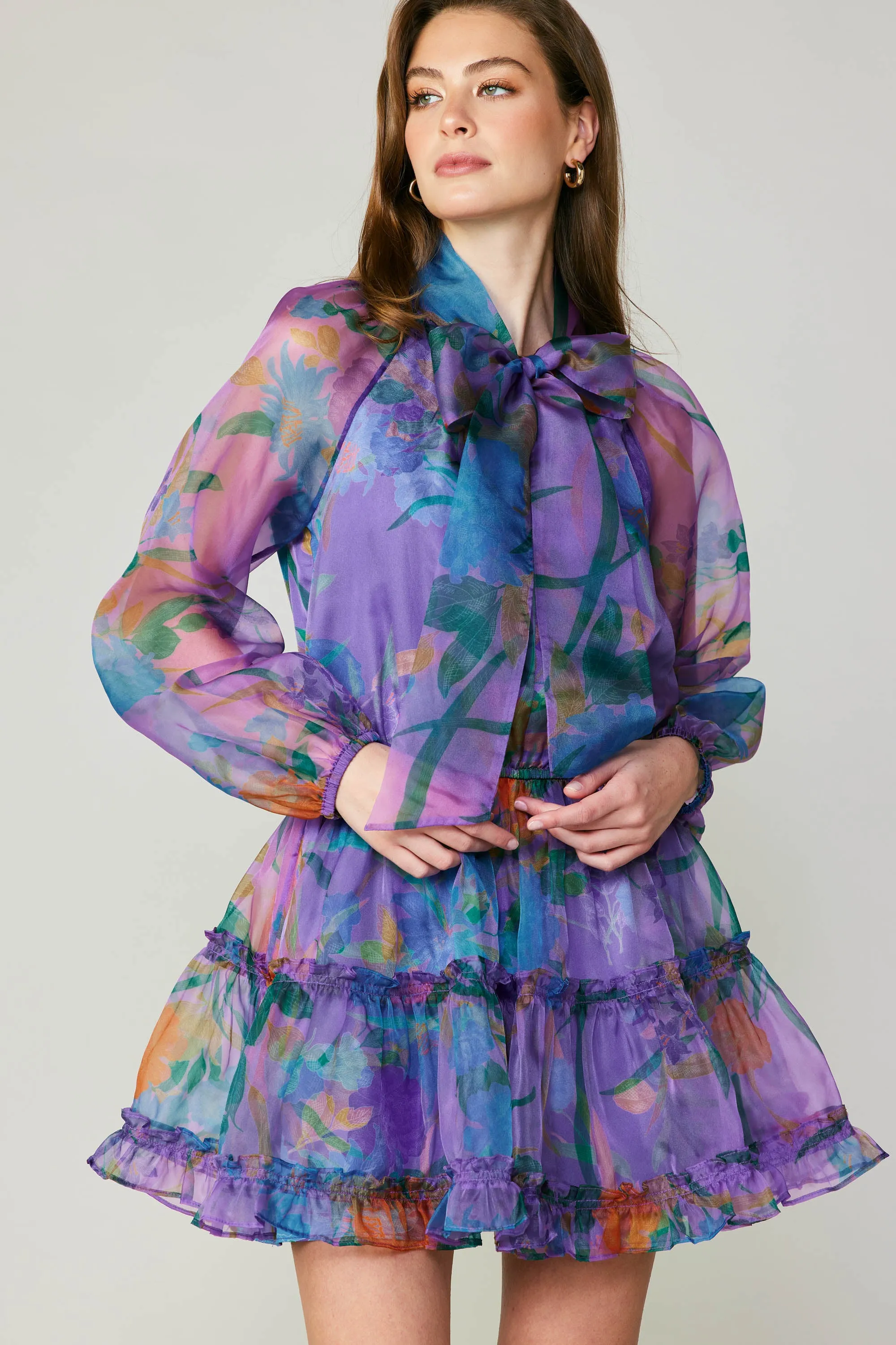 Floral Organza Mini Dress sold by Current Air product image thumbnail 2